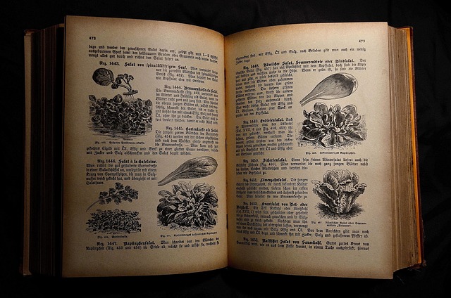 Cookbook